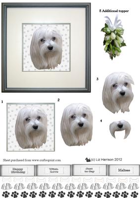 Maltese Portrait 3D Decoupage