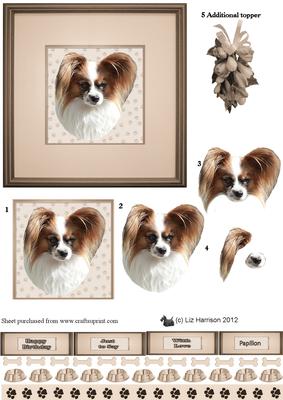 Papillon Portrait 3D Decoupage