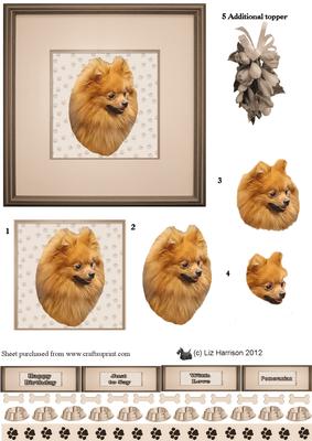 Pomeranian Portrait 3D Decoupage