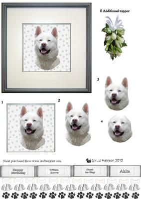 Akita Portrait 3D Decoupage