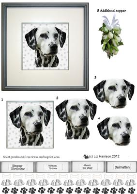 Dalmatian Portrait 3D Decoupge