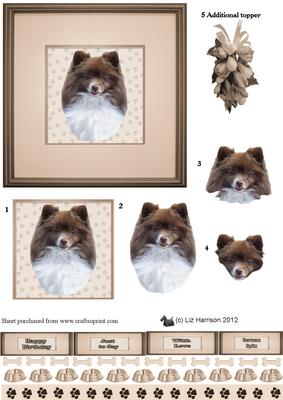 German Spitz (mittel)portrait 3D Decoupage