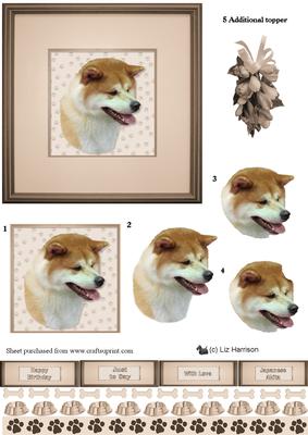 Japanese Akita Inu Portrait 3D Decoupage