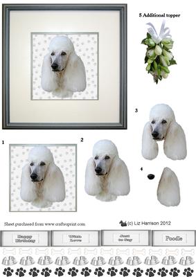 Poodle (standard) Portrait 3D Decoupage