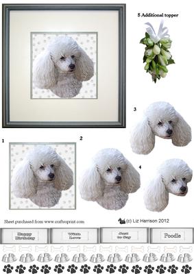 Poodle (toy) Portrait 3D Decoupage