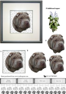 Shar Pei,grey, Portrait 3D Decoupage