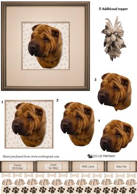 Shar Pei Portrait 3D Decoupage