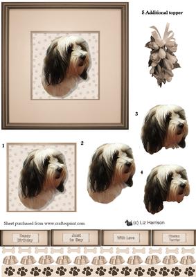 Tibetan Terrier Portrait 3D Decoupage