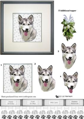 Alaskan Malamute Portrait 3D Decoupage