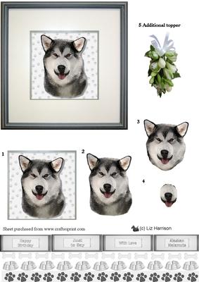 Alaskan Malamute Portrait 3D Decoupage