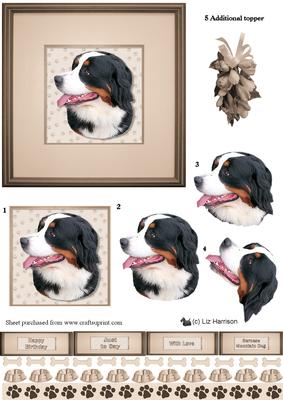 Bernese Mountain Dog Portrait 3D Decoupage