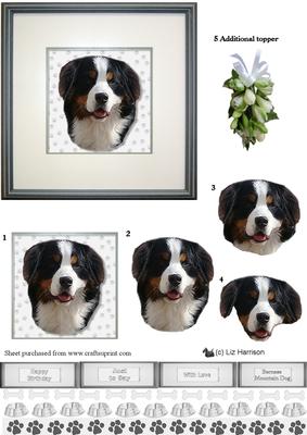 Bernese Mountain Dog Portrait 3D Decoupage