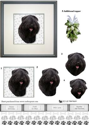 Bouvier Des Flandres Portrait 3D Decoupage