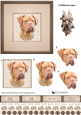 Dogue De Bordeaux Portrait 3D Decoupage