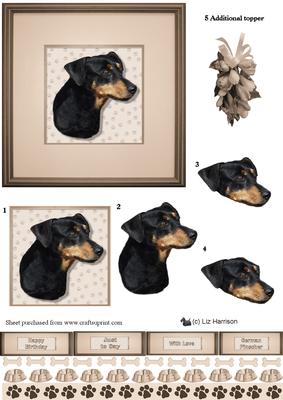 German Pinscher Portrait 3D Decoupage