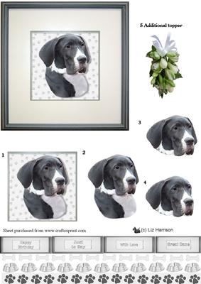 Great Dane Portrait 3D Decoupage