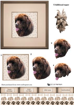 Newfoundland Portrait 3D Decoupage