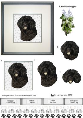 Portuguese Water Dog Portrait 3D Decoupage