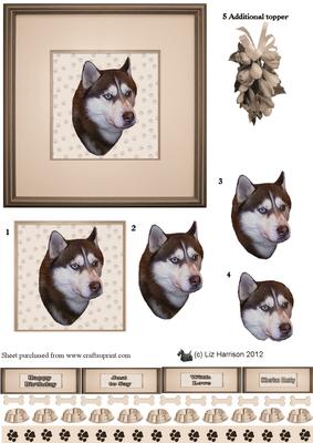 Siberian Husky Portrait 3D Decoupage