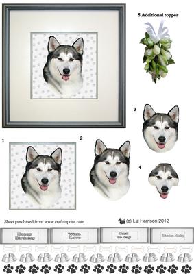Siberian Husky Portrait 3D Decoupage