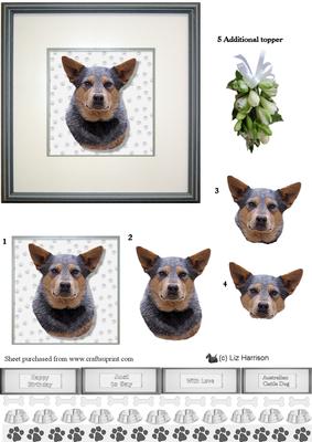 Australian Cattle Dog Portrait 3D Decoupage