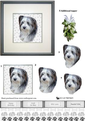 Bearded Collie Portrait 3D Decoupage