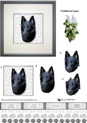 Belgian Shepherd Dog (groenendael) Portrait 3D Decoupage