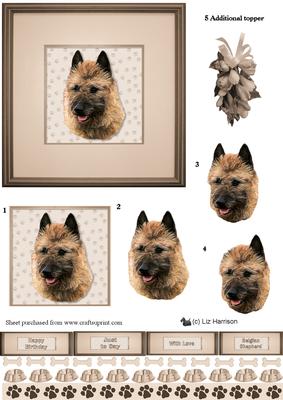 Belgian Shepherd Dog (lakenois) Portrait 3D Decoupage