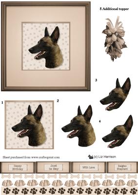 Belgian Shepherd Dog (malinois) Portrait 3D Decoupage
