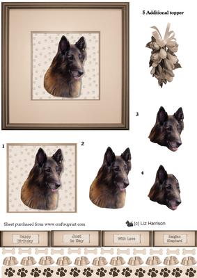 Belgian Shepherd Dog Tervueren Portrait 3D Decoupage
