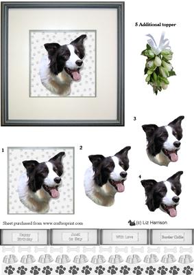Border Collie Portrait 3D Decoupage