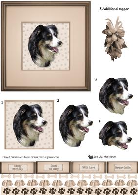 Border Collie Portrait 3D Decoupage