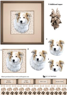 Border Collie Portrait 3D Decoupage