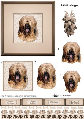 Briard Portrait 3D Decoupage
