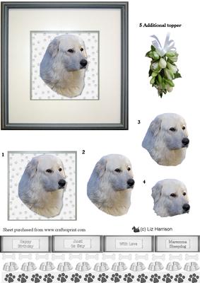 Maremma Sheepdog Portrait 3D Decoupage