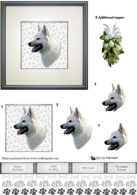 Norwegian Buhund Portrait 3D Decoupage