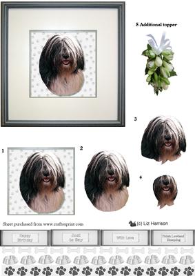 Polish Lowland Sheepdog Portrait 3D Decoupage
