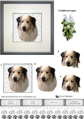Pyrenean Mountain Dog Portrait 3D Decoupage