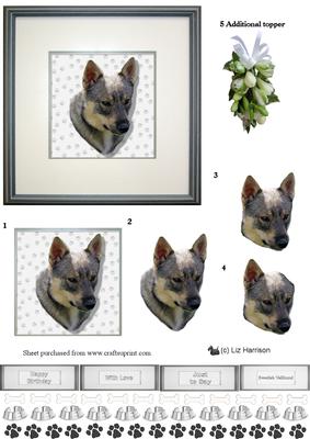 Swedish Vallhund Portrait 3D Decoupage