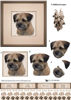 Border Terrier Portrait 3D Decoupage