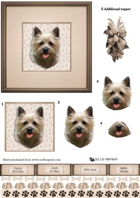 Cairn Terrier Portrait 3D Decoupage