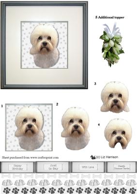 Dandie Dinmont Terrier Portrait 3D Decoupage