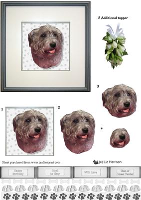 Glen of Imaal Terrier Portrait 3D Decoupage