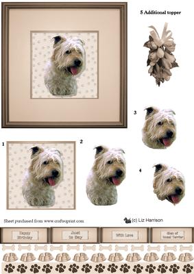 Glen of Imaal Terrier Portrait 3D Decoupage