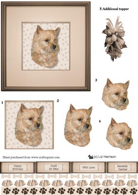 Norwich Terrier Portrait 3D Decoupage