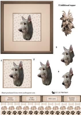Scottish Terrier,wheaten, Portrait 3D Decoupage