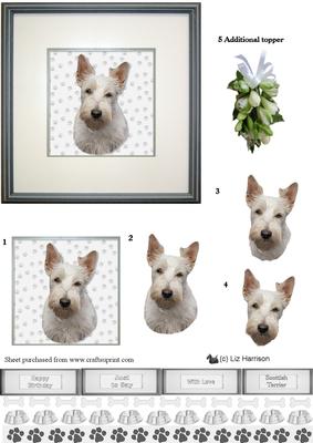 Scottish Terrier ,white,portrait 3D Decoupage