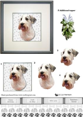 Sealyham Terrier Portrait 3D Decoupage