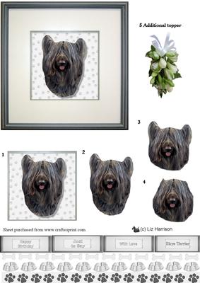 Skye Terrier Portrait 3D Decoupage