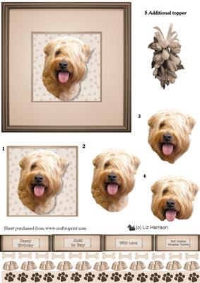 Soft Coated Wheaten Terrier Portrait 3D Decoupage